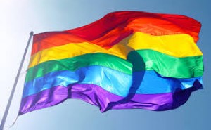 Är du gay?