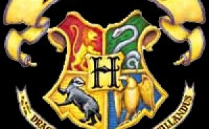 Vilket elevhem på Hogwarts tillhör du?