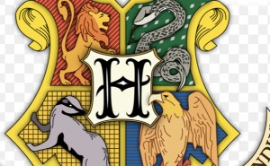 Vilket elevhem tillhör du i Harry Potter?