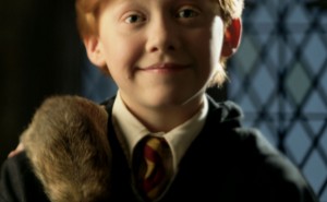 Vad kan du om familjen Weasley