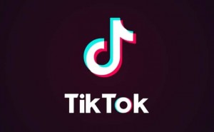 vilken tiktokare är du?