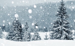 Julquiz - vad vet ni om julen?