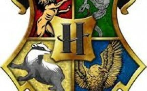 Vilken elev är du i Harry Potter?