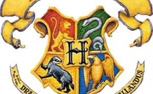 Hogwarts elevhem test (Harry Potter)