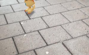 Pokémon