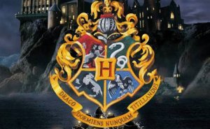 Vilket elevhem i Harry Potter tillhör du?