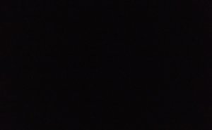 Vem är du i Åskklanen? (Warriorcats)