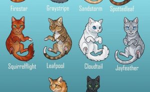 Vilken warrior-katt är du?