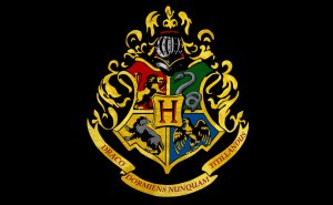 Vilket Elevhem i Harry Potter är du? (enligt mig)